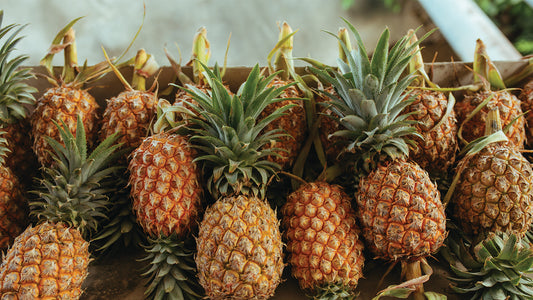 Bromelain: A Natural Anti-Inflammatory Enzyme